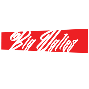 big-uglies-logo-qr-300x300